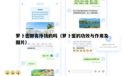 萝卜密聊有挣钱的吗（萝卜蜜的功效与作用及图片）