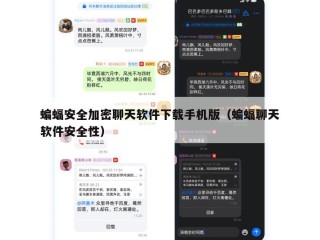 蝙蝠安全加密聊天软件下载手机版（蝙蝠聊天软件安全性）