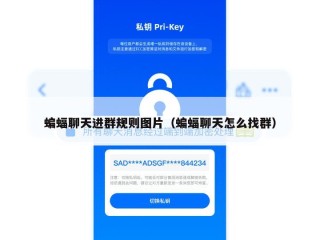 蝙蝠聊天进群规则图片（蝙蝠聊天怎么找群）