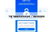 下载飞船聊天软件安全吗（飞船手机游戏）