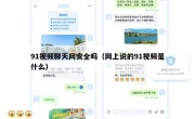 91视频聊天网安全吗（网上说的91视频是什么）