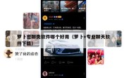 萝卜密聊类软件哪个好用（萝卜+专业聊天软件下载）