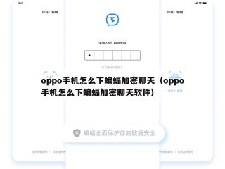 oppo手机怎么下蝙蝠加密聊天（oppo手机怎么下蝙蝠加密聊天软件）