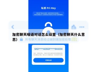 加密聊天暗语对话怎么设置（加密聊天什么意思）