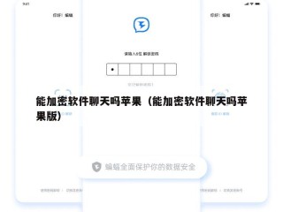 能加密软件聊天吗苹果（能加密软件聊天吗苹果版）