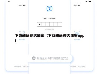 下载蝙蝠聊天加密（下载蝙蝠聊天加密app）