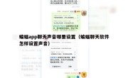 蝙蝠app聊天声音哪里设置（蝙蝠聊天软件怎样设置声音）