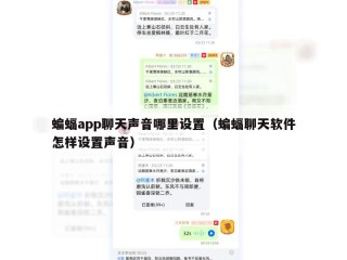 蝙蝠app聊天声音哪里设置（蝙蝠聊天软件怎样设置声音）
