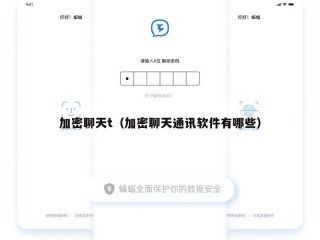 加密聊天t（加密聊天通讯软件有哪些）