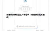 珍伴聊天软件怎么样安全吗（珍婚软件是真的吗）