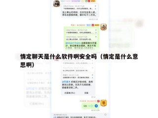情定聊天是什么软件啊安全吗（情定是什么意思啊）