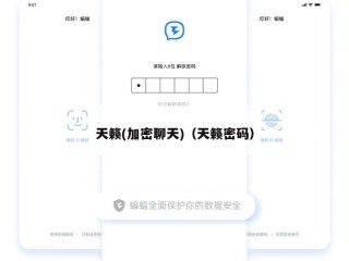 天籁(加密聊天)（天籁密码）