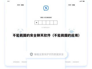 不能截图的安全聊天软件（不能截图的应用）