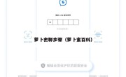 萝卜密聊步骤（萝卜蜜百科）
