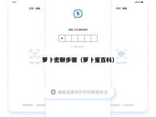 萝卜密聊步骤（萝卜蜜百科）