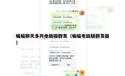 蝙蝠聊天多开电脑版群发（蝙蝠电脑版群发器）