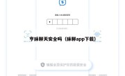 亨脉聊天安全吗（脉聊app下载）