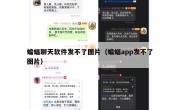 蝙蝠聊天软件发不了图片（蝙蝠app发不了图片）