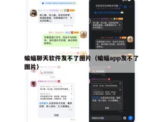 蝙蝠聊天软件发不了图片（蝙蝠app发不了图片）