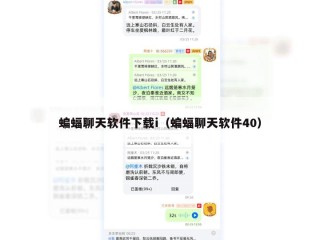 蝙蝠聊天软件下载i（蝙蝠聊天软件40）