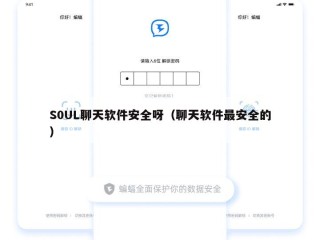 S0UL聊天软件安全呀（聊天软件最安全的）