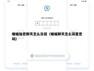 蝙蝠加密聊天怎么冻结（蝙蝠聊天怎么设置密码）