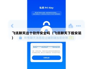 飞讯聊天这个软件安全吗（飞讯聊天下载安装）