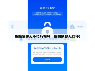 蝙蝠侠聊天小技巧视频（蝙蝠侠聊天软件）