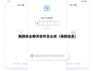 海鸥安全聊天软件怎么样（海鸥信息）