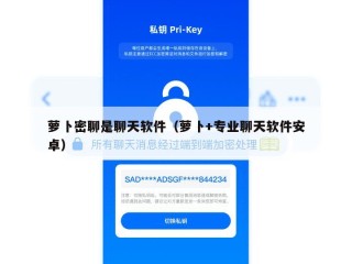 萝卜密聊是聊天软件（萝卜+专业聊天软件安卓）