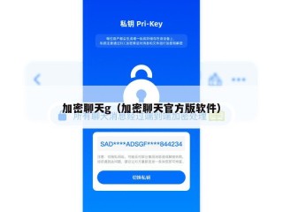 加密聊天g（加密聊天官方版软件）