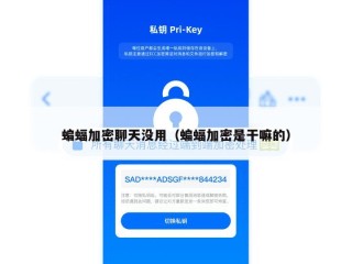 蝙蝠加密聊天没用（蝙蝠加密是干嘛的）