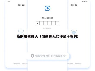 新的加密聊天（加密聊天软件是干嘛的）