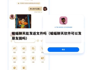 蝙蝠聊天能发送文件吗（蝙蝠聊天软件可以发朋友圈吗）