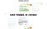利用萝卜密聊骗钱（萝卜聊天兼职）