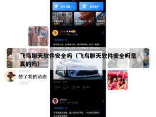 飞鸟聊天软件安全吗（飞鸟聊天软件安全吗是真的吗）