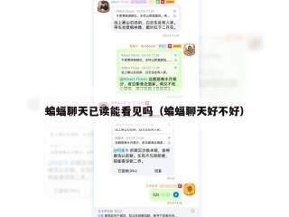 蝙蝠聊天已读能看见吗（蝙蝠聊天好不好）