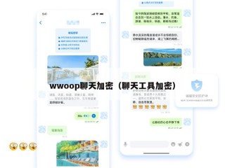 wwoop聊天加密（聊天工具加密）