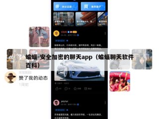 蝙蝠-安全加密的聊天app（蝙蝠聊天软件百科）