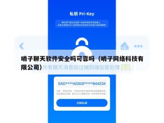 哨子聊天软件安全吗可靠吗（哨子网络科技有限公司）