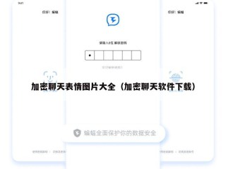 加密聊天表情图片大全（加密聊天软件下载）
