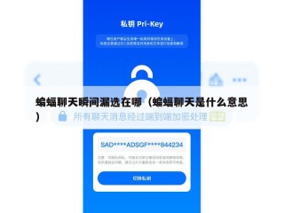 蝙蝠聊天瞬间漏选在哪（蝙蝠聊天是什么意思）