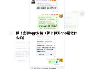 萝卜密聊app安装（萝卜聊天app是做什么的）
