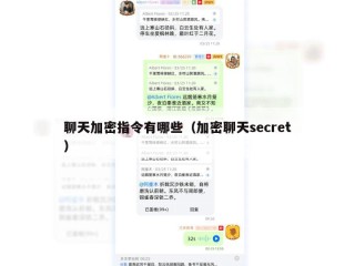 聊天加密指令有哪些（加密聊天secret）
