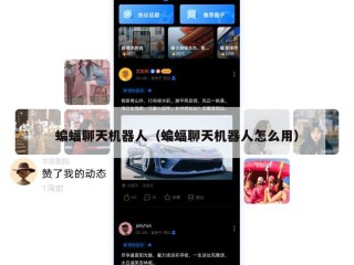 蝙蝠聊天机器人（蝙蝠聊天机器人怎么用）