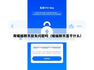 用蝙蝠聊天就有问题吗（蝙蝠聊天是干什么）