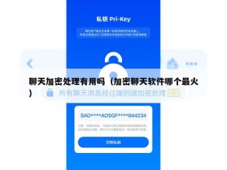 聊天加密处理有用吗（加密聊天软件哪个最火）