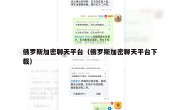 俄罗斯加密聊天平台（俄罗斯加密聊天平台下载）