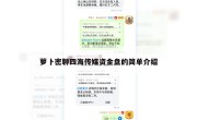 萝卜密聊四海传媒资金盘的简单介绍