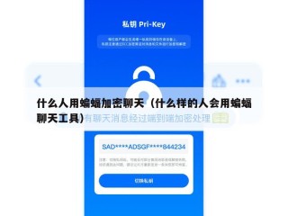 什么人用蝙蝠加密聊天（什么样的人会用蝙蝠聊天工具）